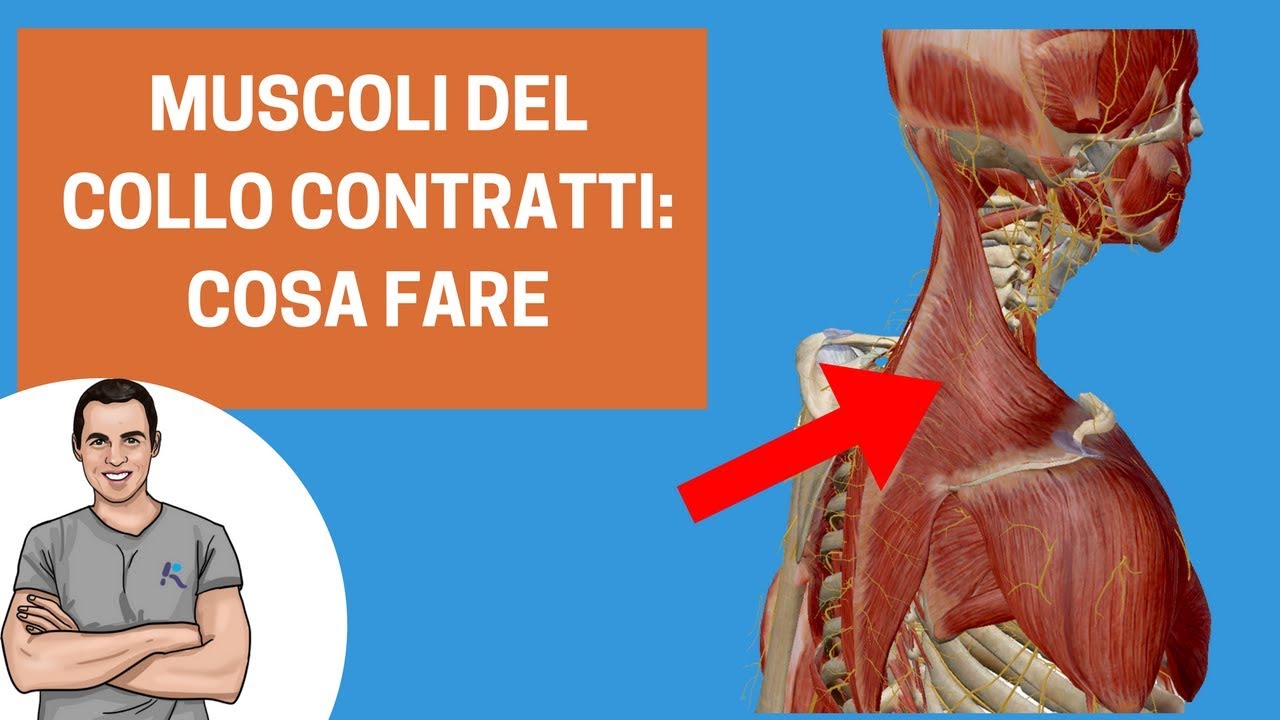 Muscoli del collo sempre contratti: cosa fare