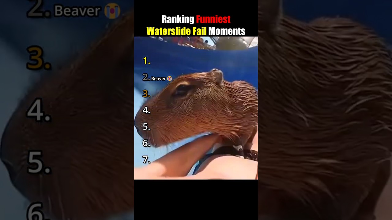 DON'T CHECK THE SOUND 😭😭