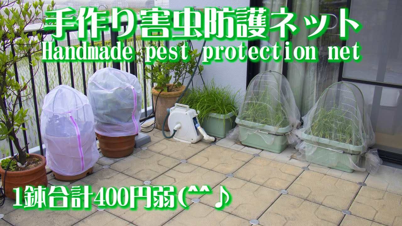家庭菜園🥬に効果絶大の🦋害虫防護ネットダイソー100円レシピ😃🌈💞Handmade homegarden pest protection net recipe