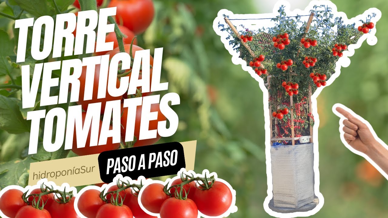 ¡Construye tu Propia Torre Hidropónica Vertical de Tomates en Casa! 🌱🍅 [Guía Paso a Paso]