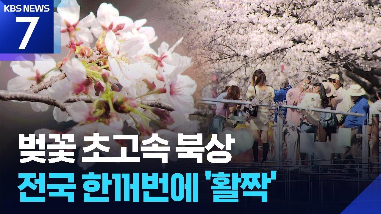 &ldquo;전국 동시 벚꽃 개화&rdquo; 초고속으로 북상하는 벚꽃 / KBS  2026.04.02.