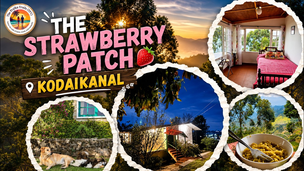 ✨ The Strawberry Patch Kodaikanal | Peaceful Airbnb Homestay Tour 🏡🌿