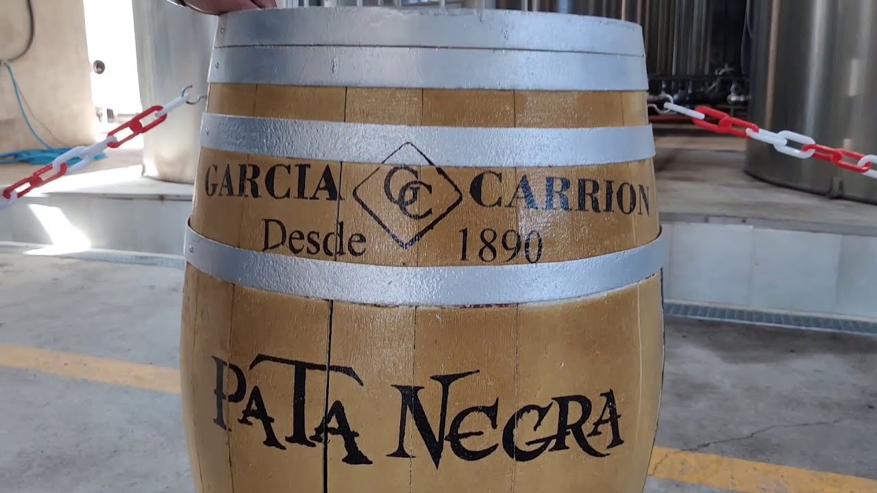 Bodegas García Carrión en #JumillaVendimia