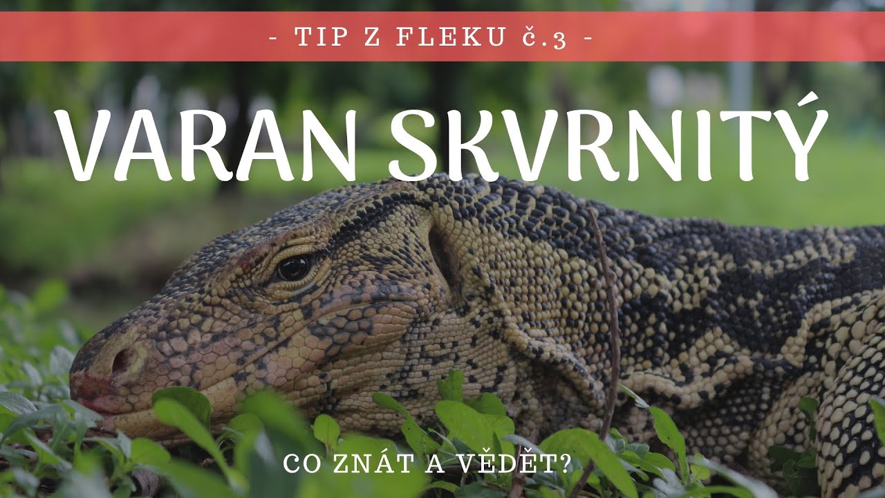 Cestovatelský TIP Z FLEKU Č.3 - Co rozhodně navštívit pokud mám rád velké JEŠTĚRKY !!!