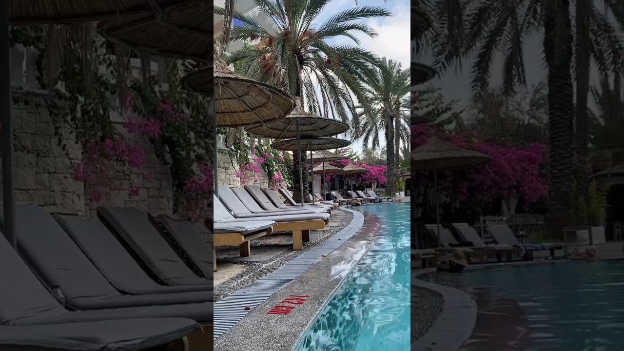 🦩Flamingo hotel & spa, Oludeniz 🇹🇷