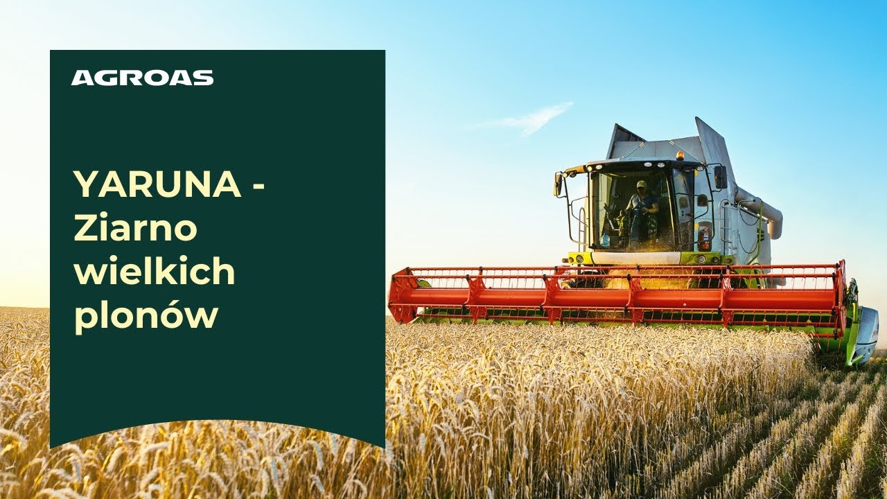🌱 YARUNA &ndash; Ziarno wielkich plon&oacute;w