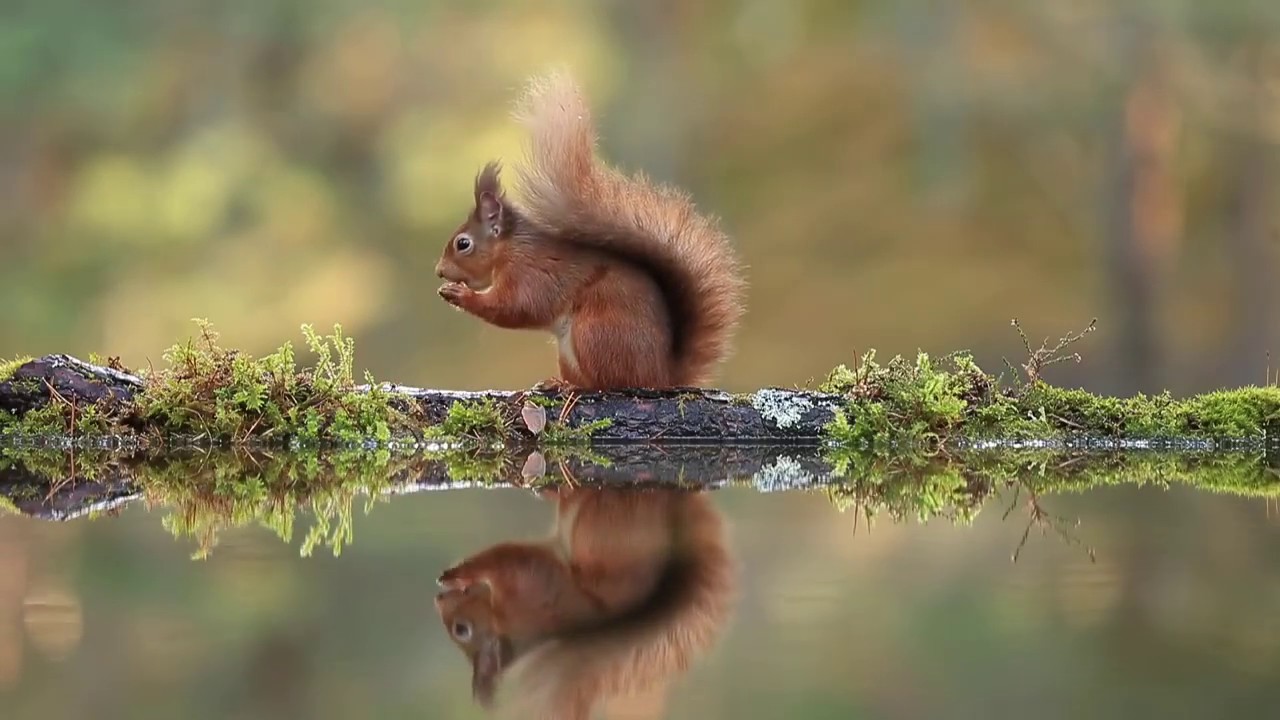 101 great reasons to visit Moray - Scotland's wild north east
