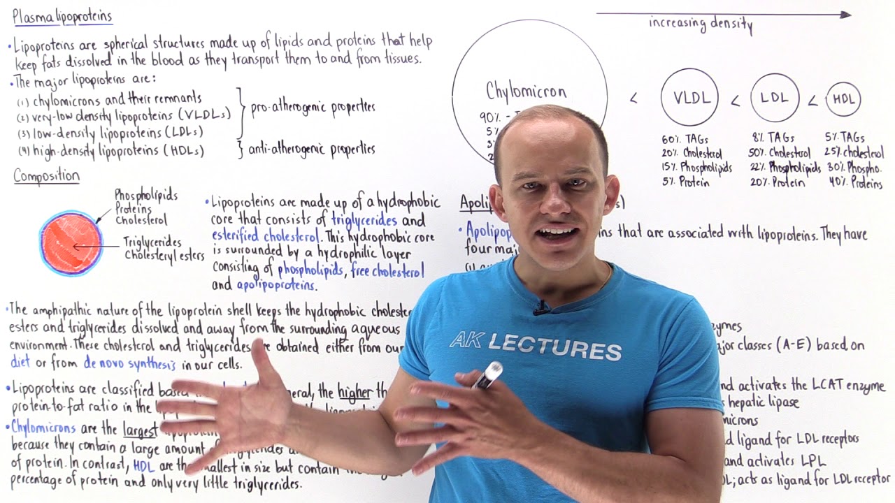 Introduction to lipoproteins