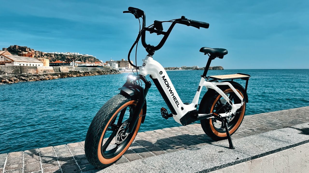 MOKWHEEL Scoria eBike Review - Awesome Fat Tire Bike!