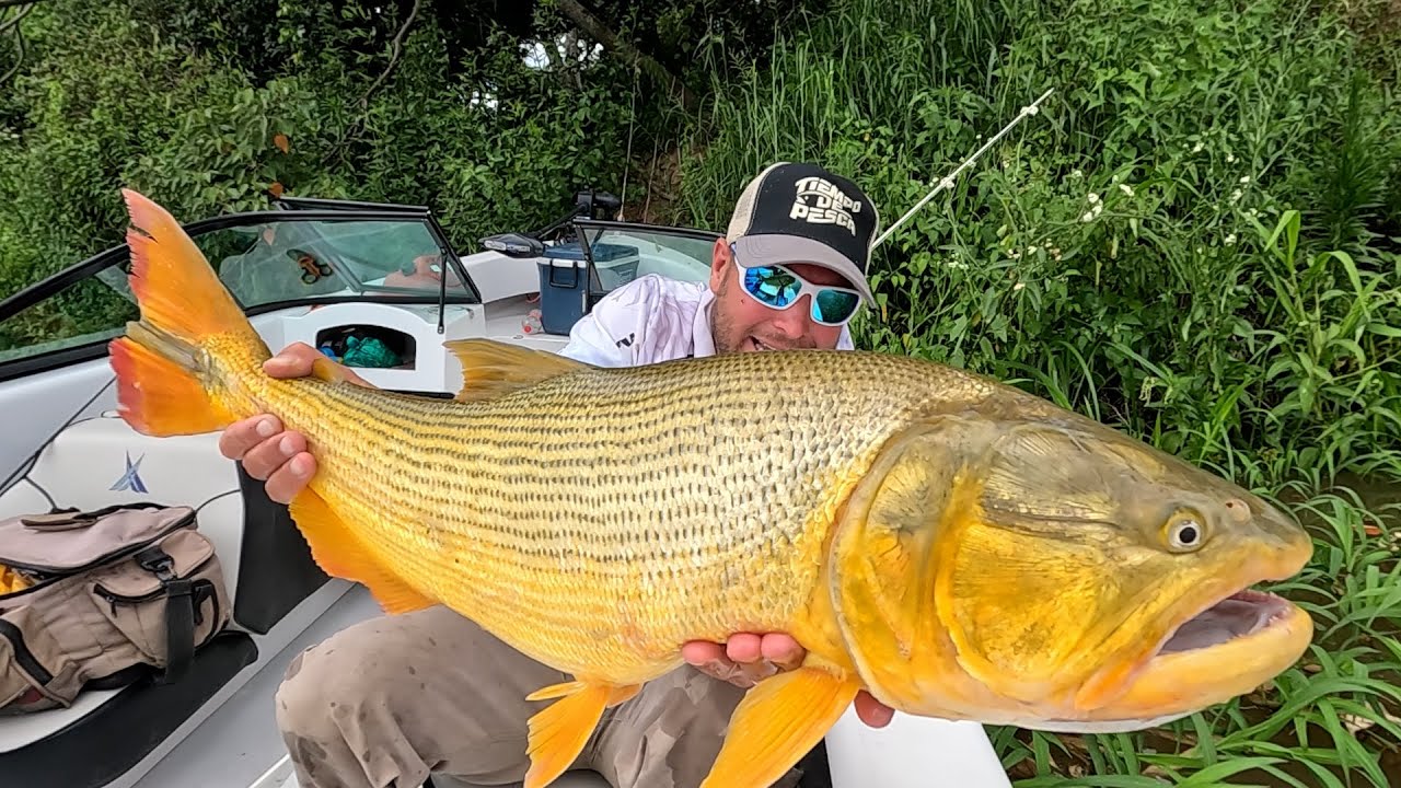 Un cierre de año...color 