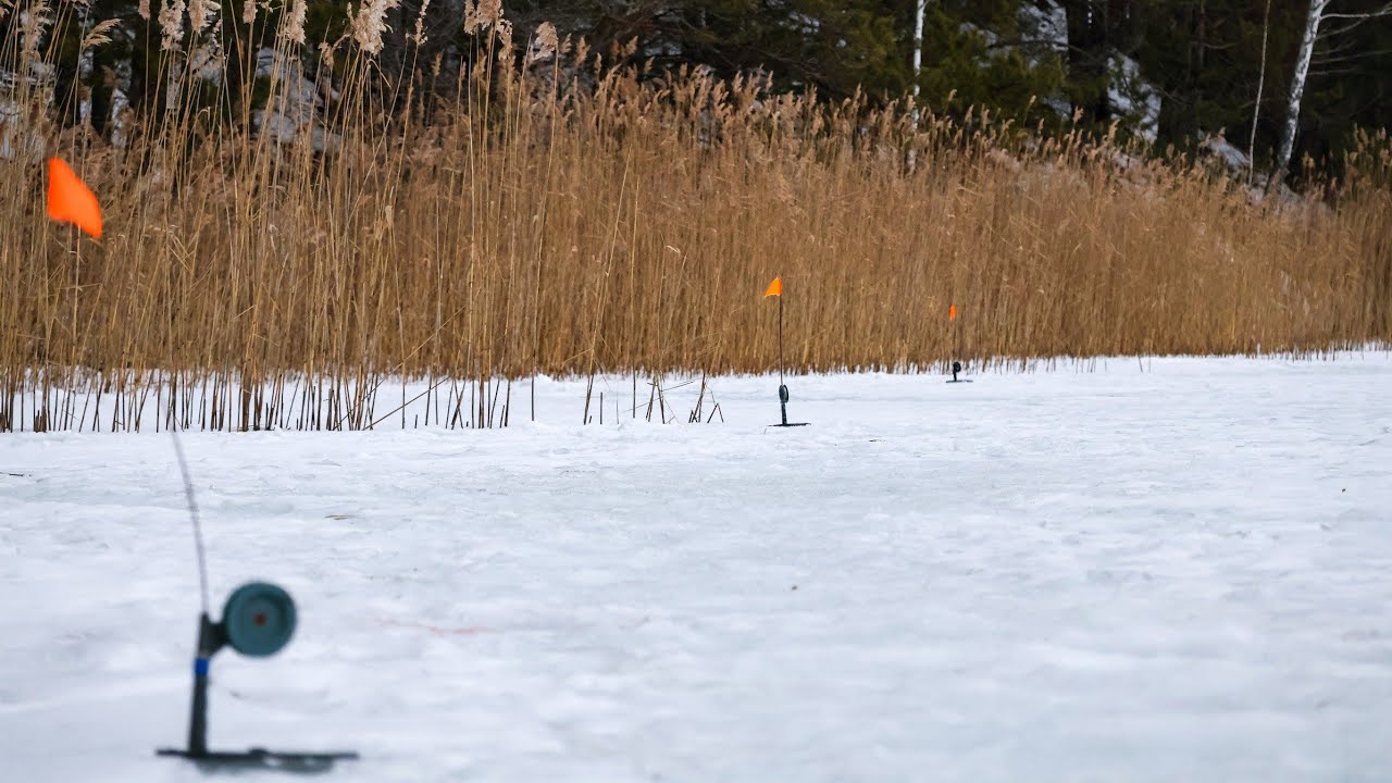 Стріляло скізь,і під Ногами і Вдалині.Не встигав ловити живця і Заряджати