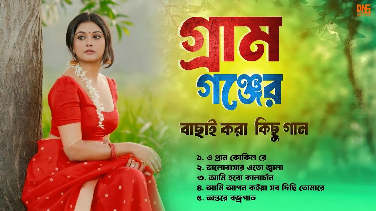 গ্রামগঞ্জের বাছাই করা কিছু গান | Bangla top hit songs | Audio Jukebox 2025 | DNS MUSIC STUDIO |