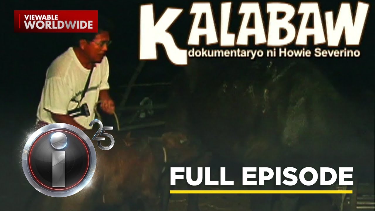 &lsquo;Kalabaw,&rsquo; dokumentaryo ni Howie Severino (Full Episode) | I-Witness