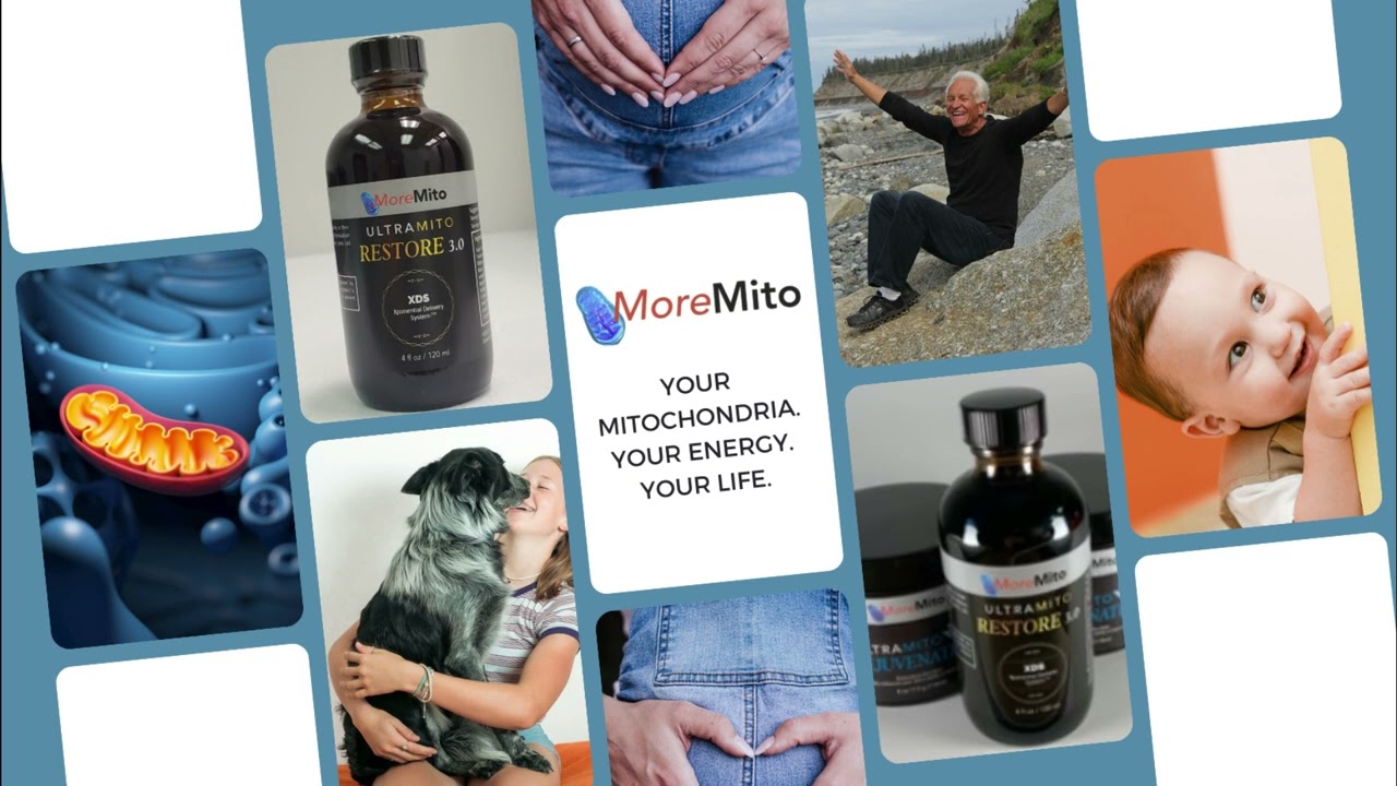 About MoreMito - UltraMito Restore, UltraMito Rejuvenate, Mitochondria Energy