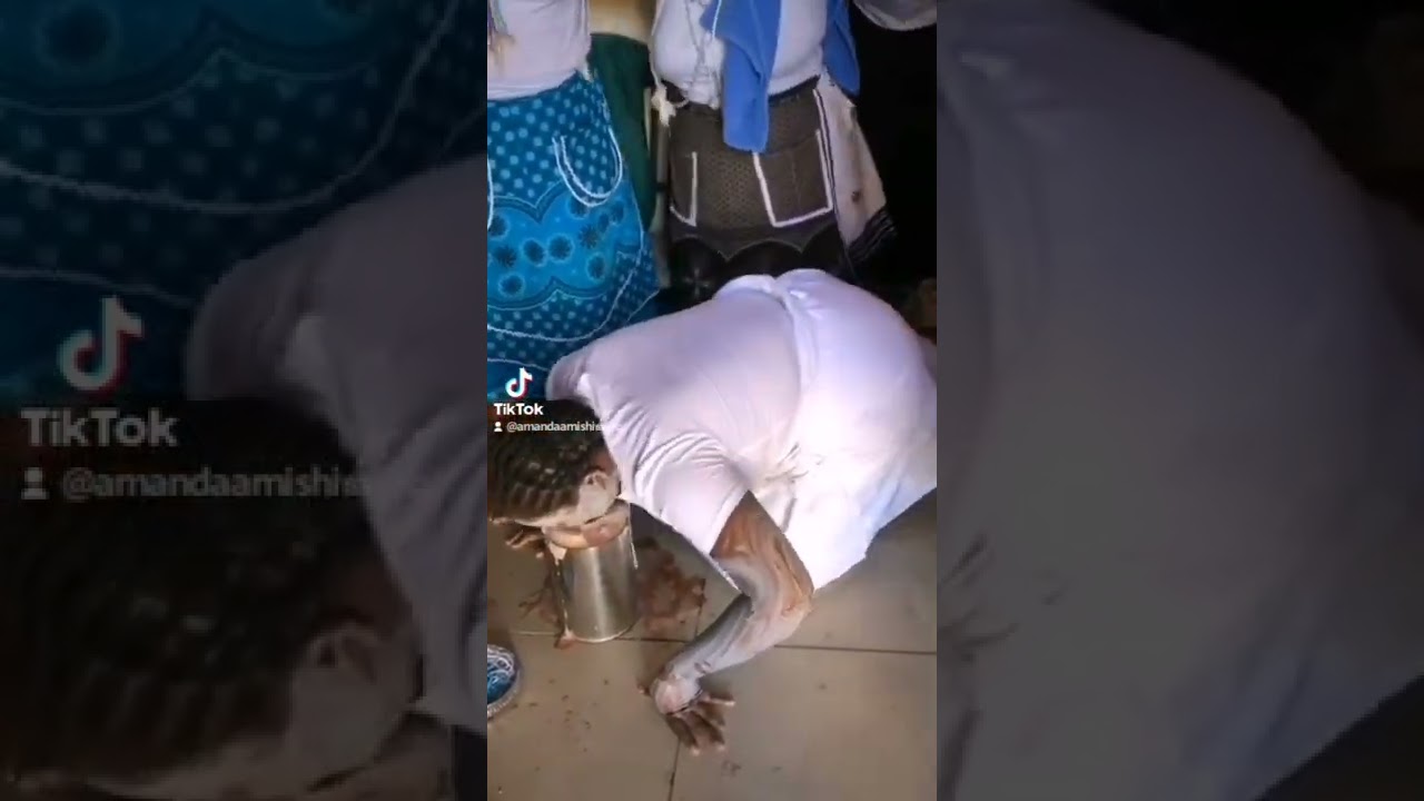 Mamnune mbokothwana ngxagashe kamxetso marhumbulurhaxa vumba lencukudu liviwa ngonuka emsitsini.