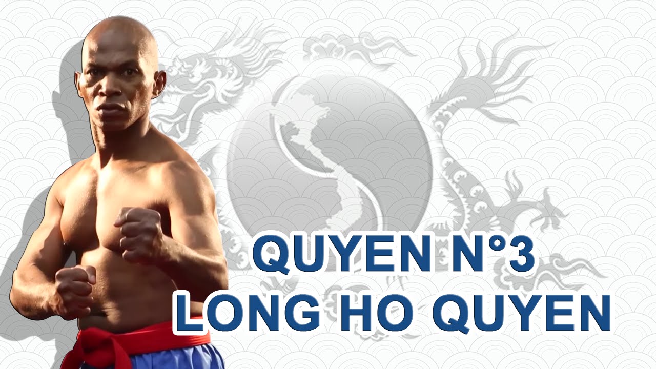 Vovinam Viet Vo Dao / Quyen N°3 - Long ho quyen par Gilles CROZON-CAZIN