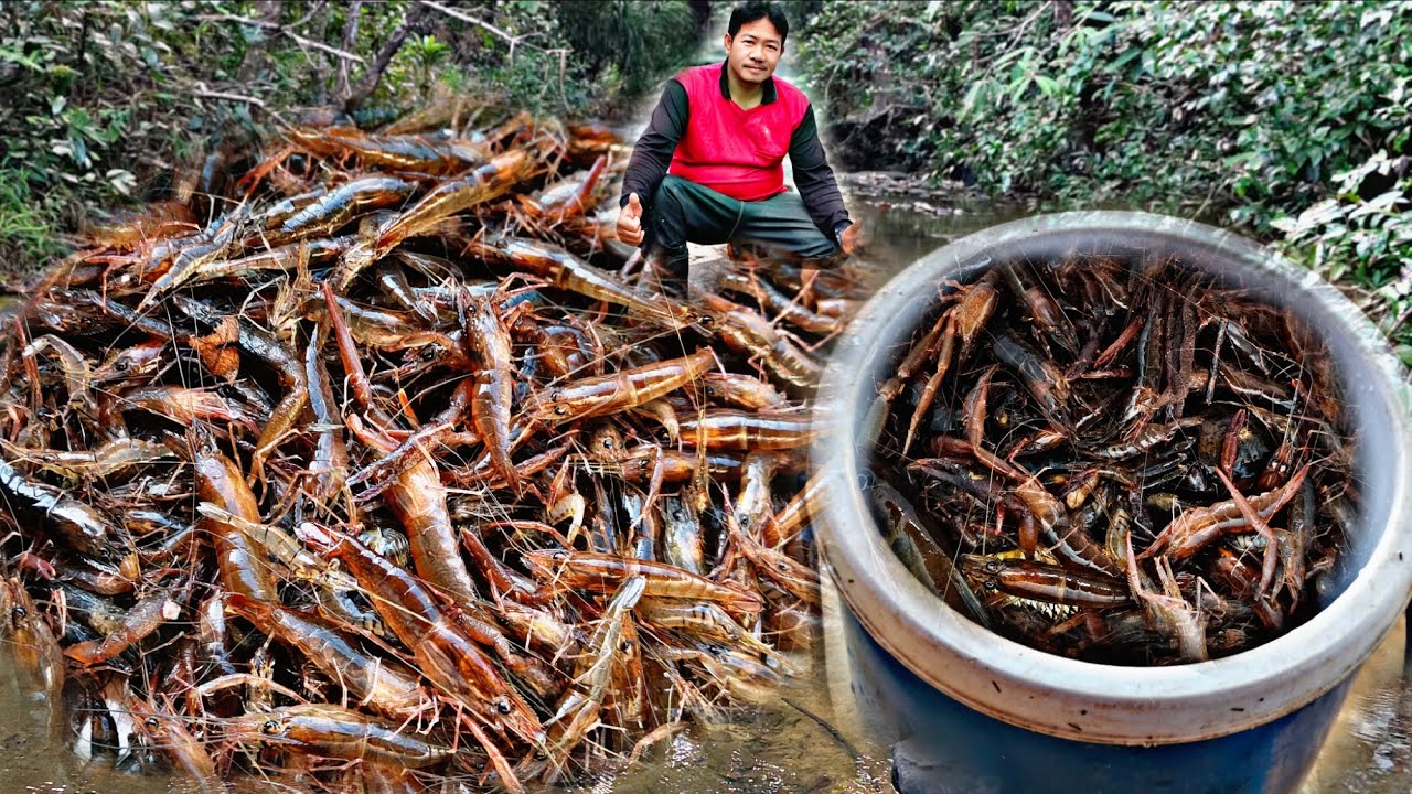 ลงห้วยดักกุ้งก้ามกุ้งมีหมานแต่ตัวใหญ่ๆเลยครับ/19/ม.ค/69