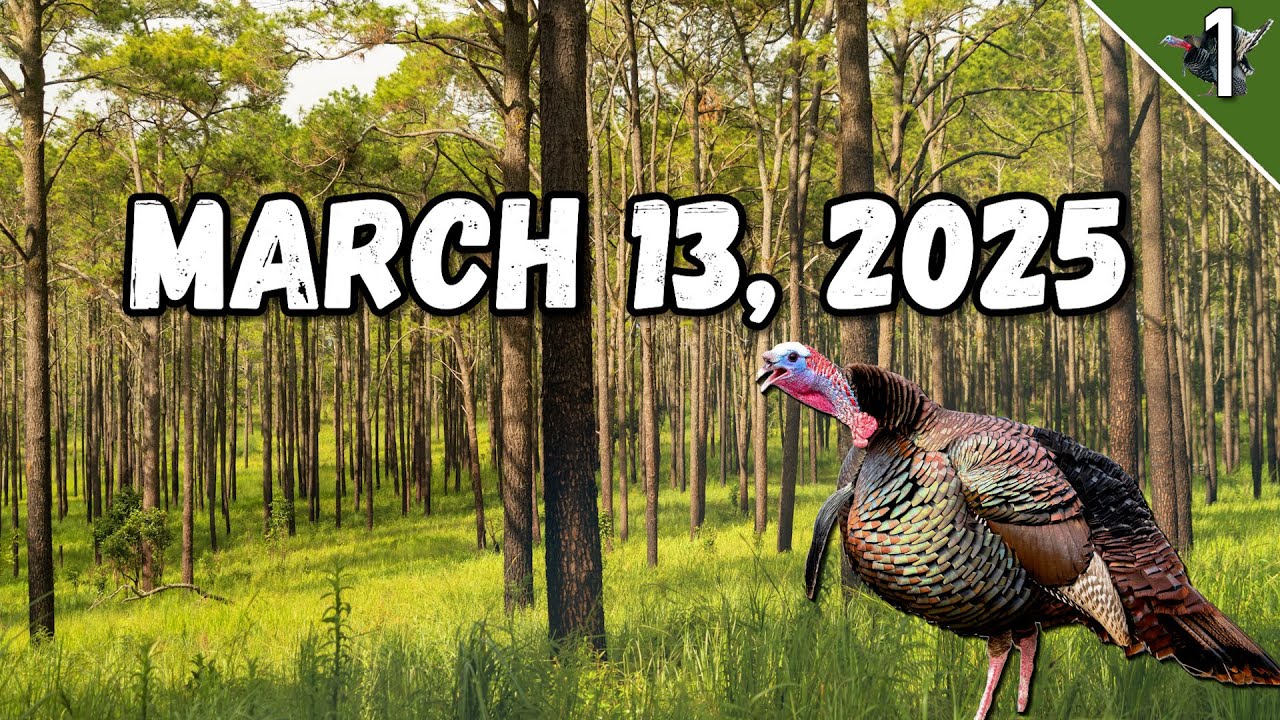 TURKEY TOUR 2025!!! (Southern Turkey Hunting!)
