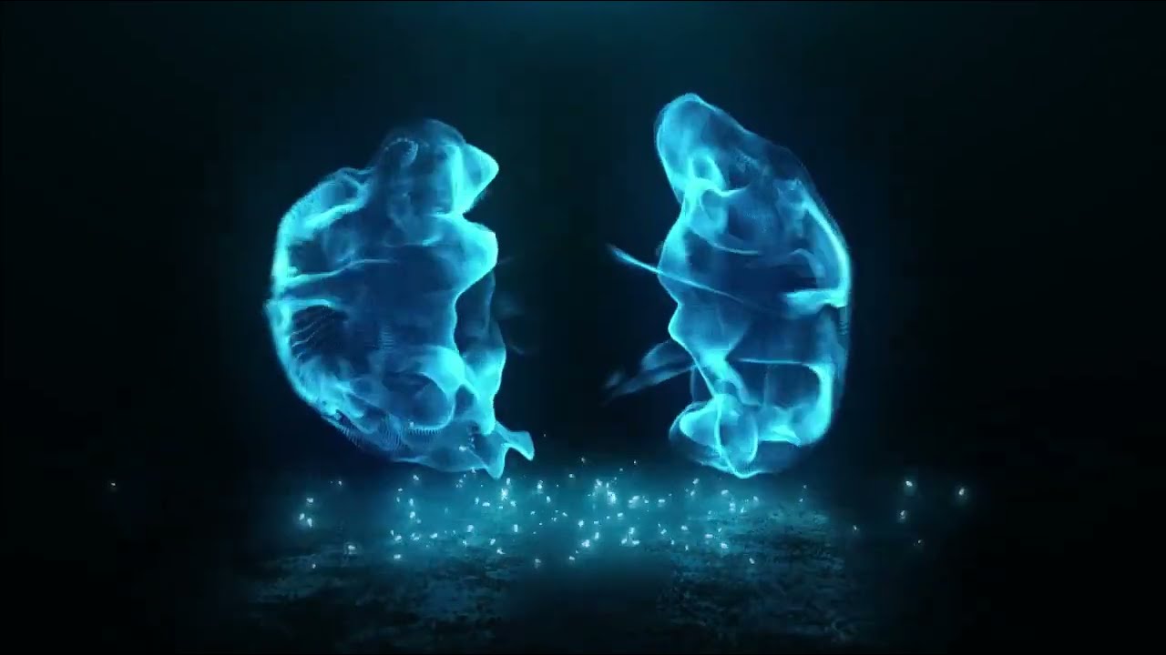 14 - cours c++ : les pointeurs Passage Par Valeur Et Par Adresse explication en detail