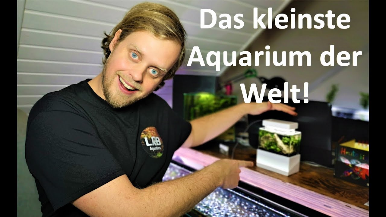 Das kleinste Aquarium der Welt - Mini Complete Tank vom Unboxing bis zum laufenden Aquarium