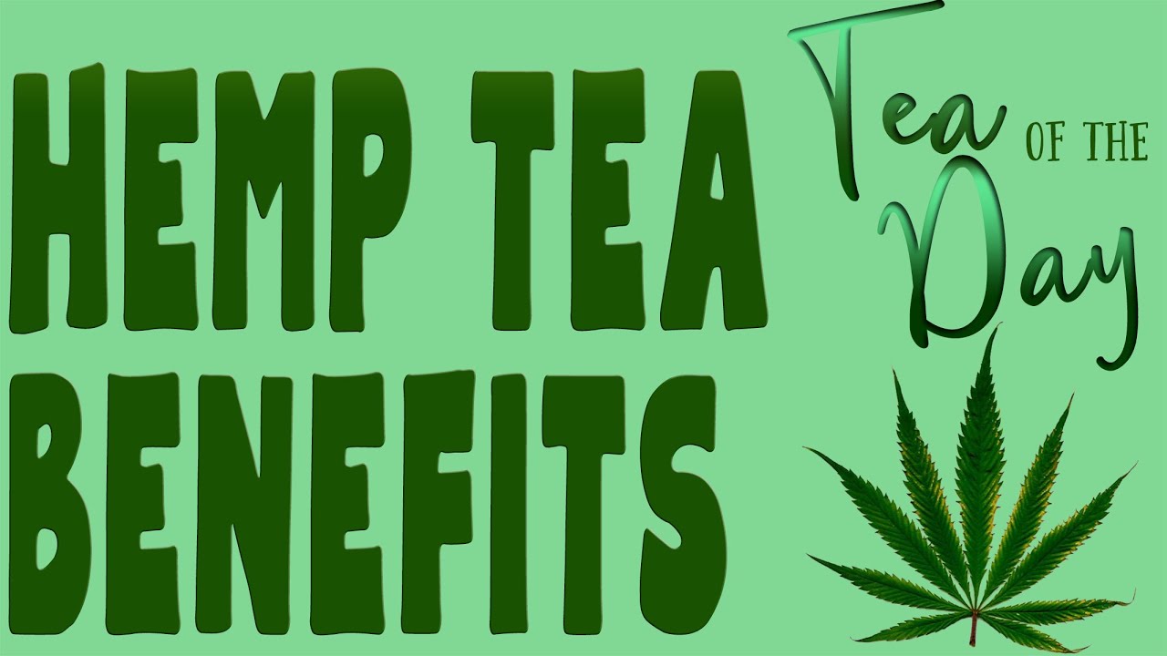 BENEFITS of HEMP TEA - What is hemp tea like?