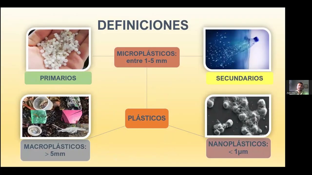 Monitoreo y Caracterización de Microplásticos en Arenas de Playas y Aguas Costeras de Costa Rica