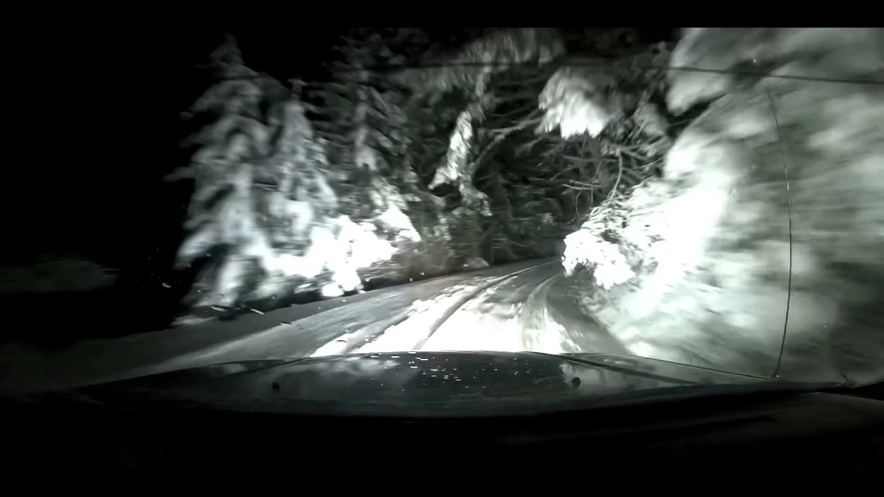 Night driving in snow forest (MATRIX download link)