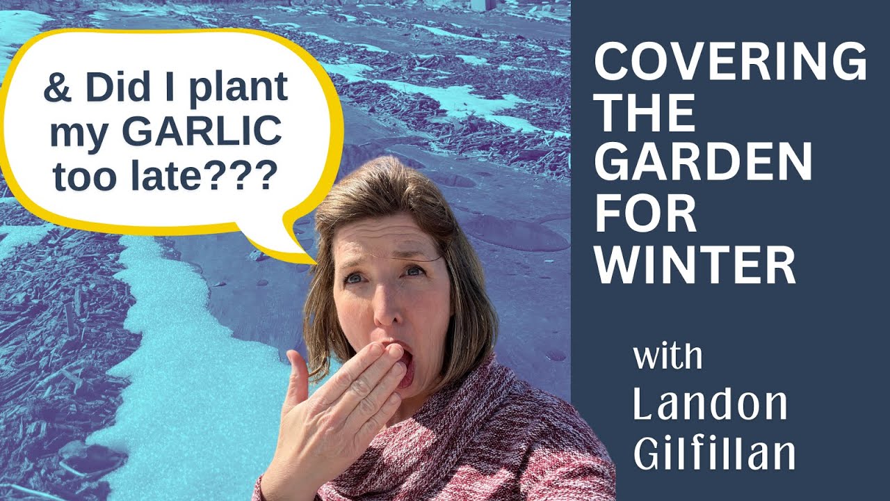 Planting Fall Garlic (NEW Varieties!) & Covering the Garden for Winter | Garden 2023