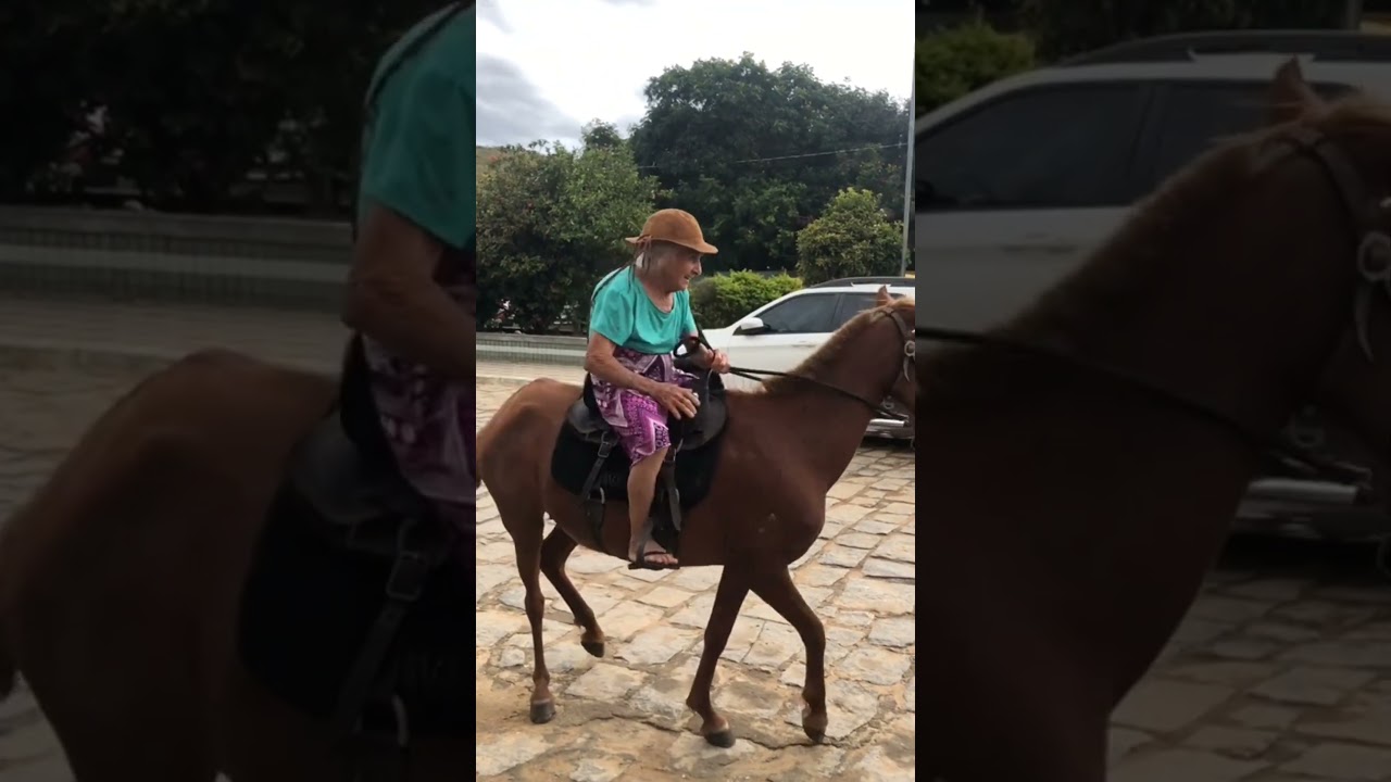#cavalo #pecuarista #cavalos #playvaquejada #horse #marchadores #cavalgada #agro #vaquejada