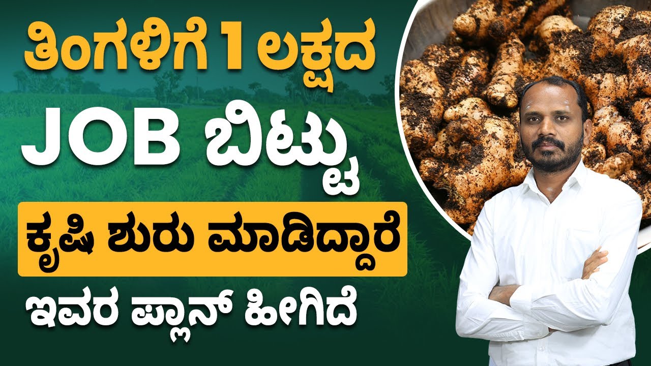 Ginger Farming in Kannada | Ginger Cultivation | How ffreedom App Inspires Shankar's Journey to Agri