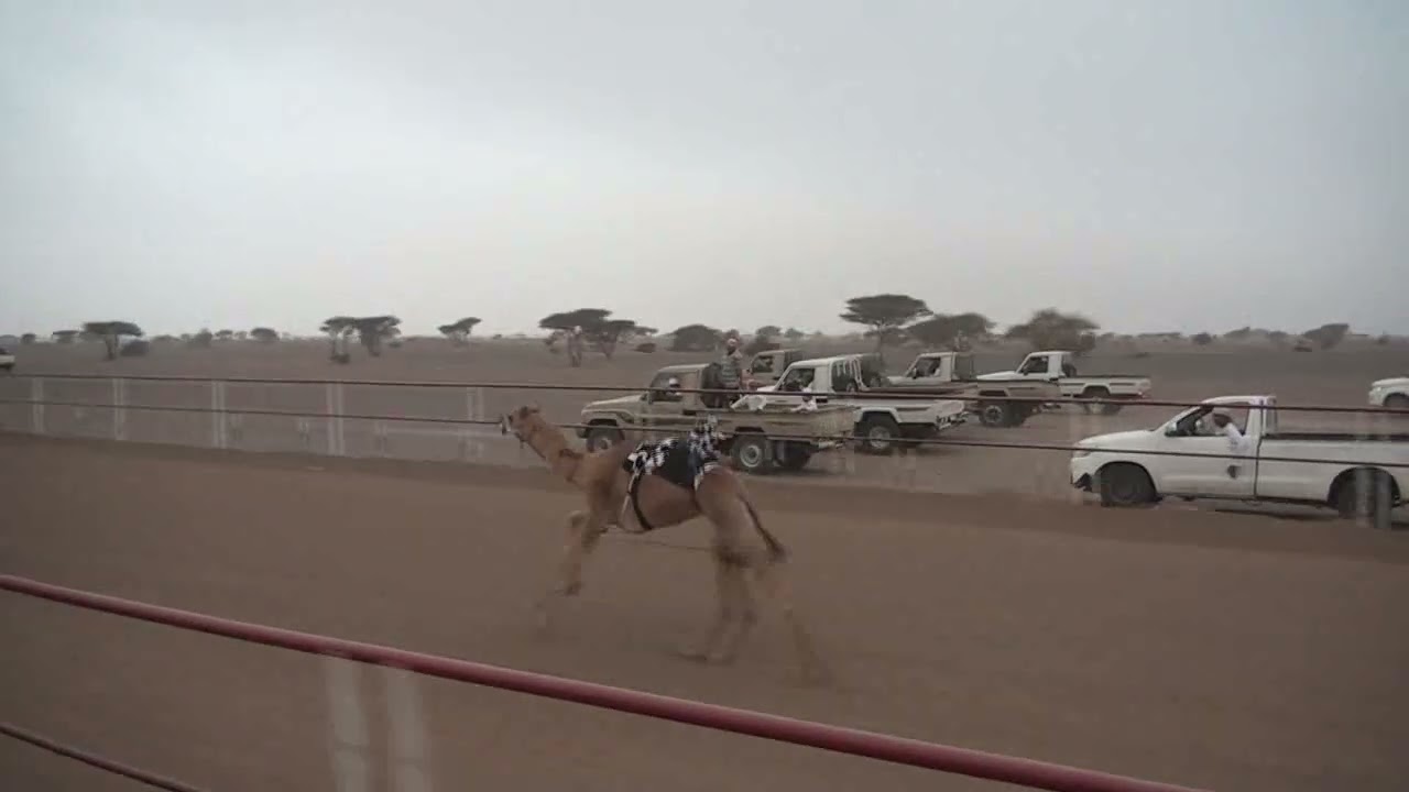 مركاض بديه الشوط الاول