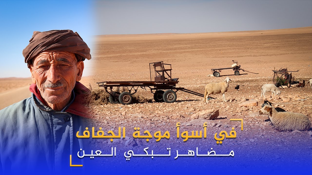 زايوسيتي تنجز ربورتاجا حول 