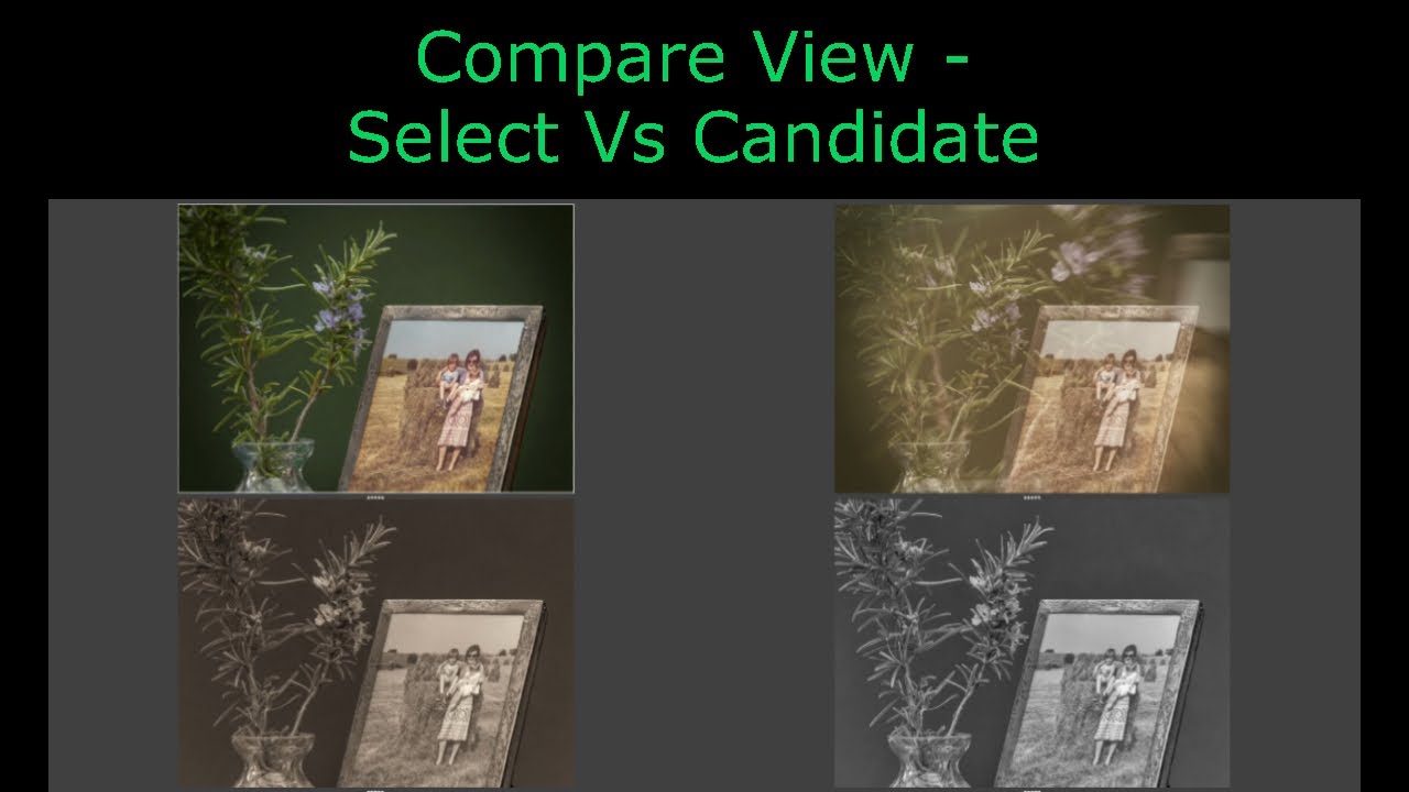 Master Lightroom Compare Mode in 2 minutes?