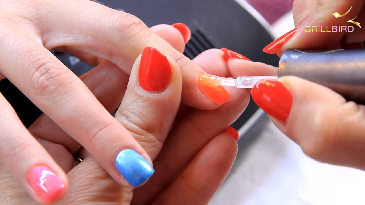Brill Bird - Gel&Lac Step by Step
