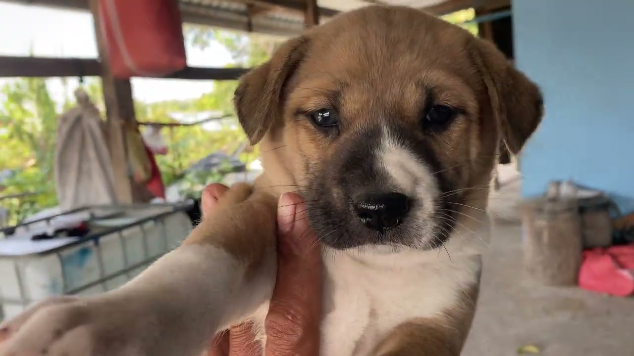 ស្អាតណាស់