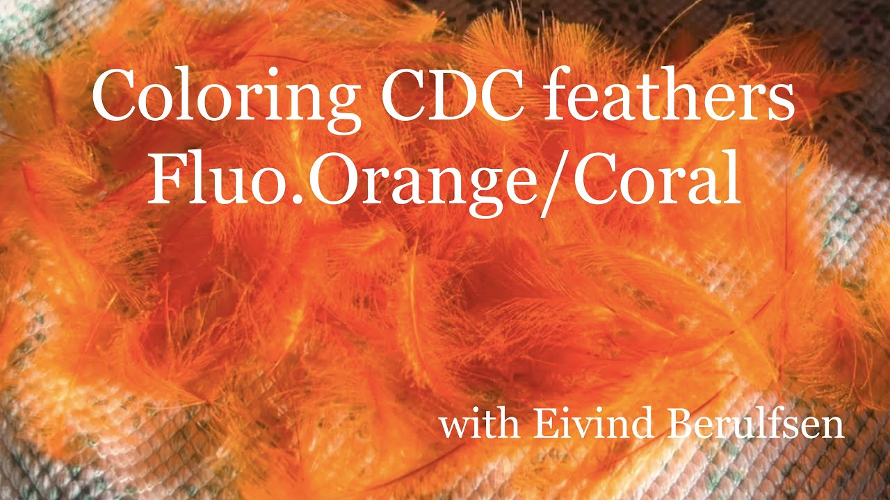 How I color my CDC feathers. (Fluo.Orange/Coral)
