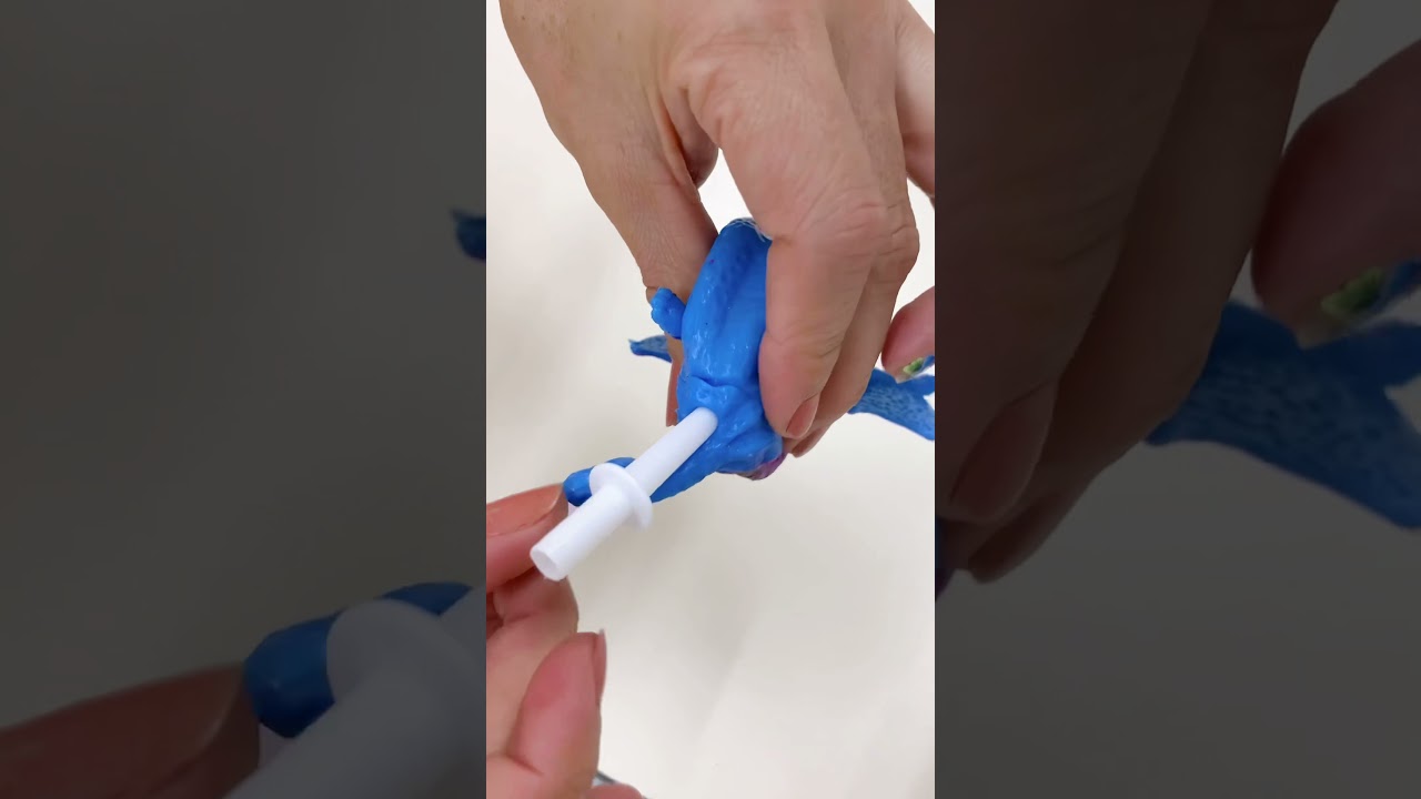 Animal inflable que parece un globo lindo🥳