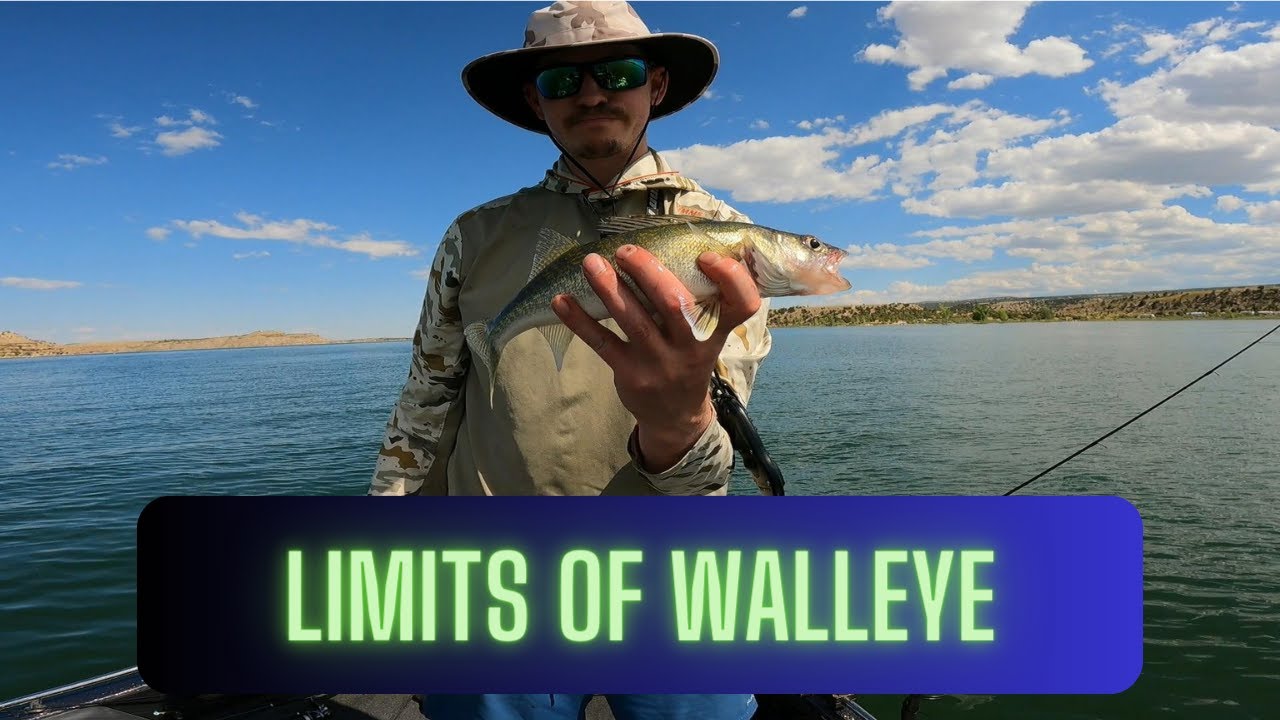 Limits of Walleye - Starvation Reservoir