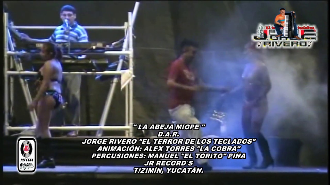 LA ABEJA MIOPE - D.A.R. - JORGE RIVERO 