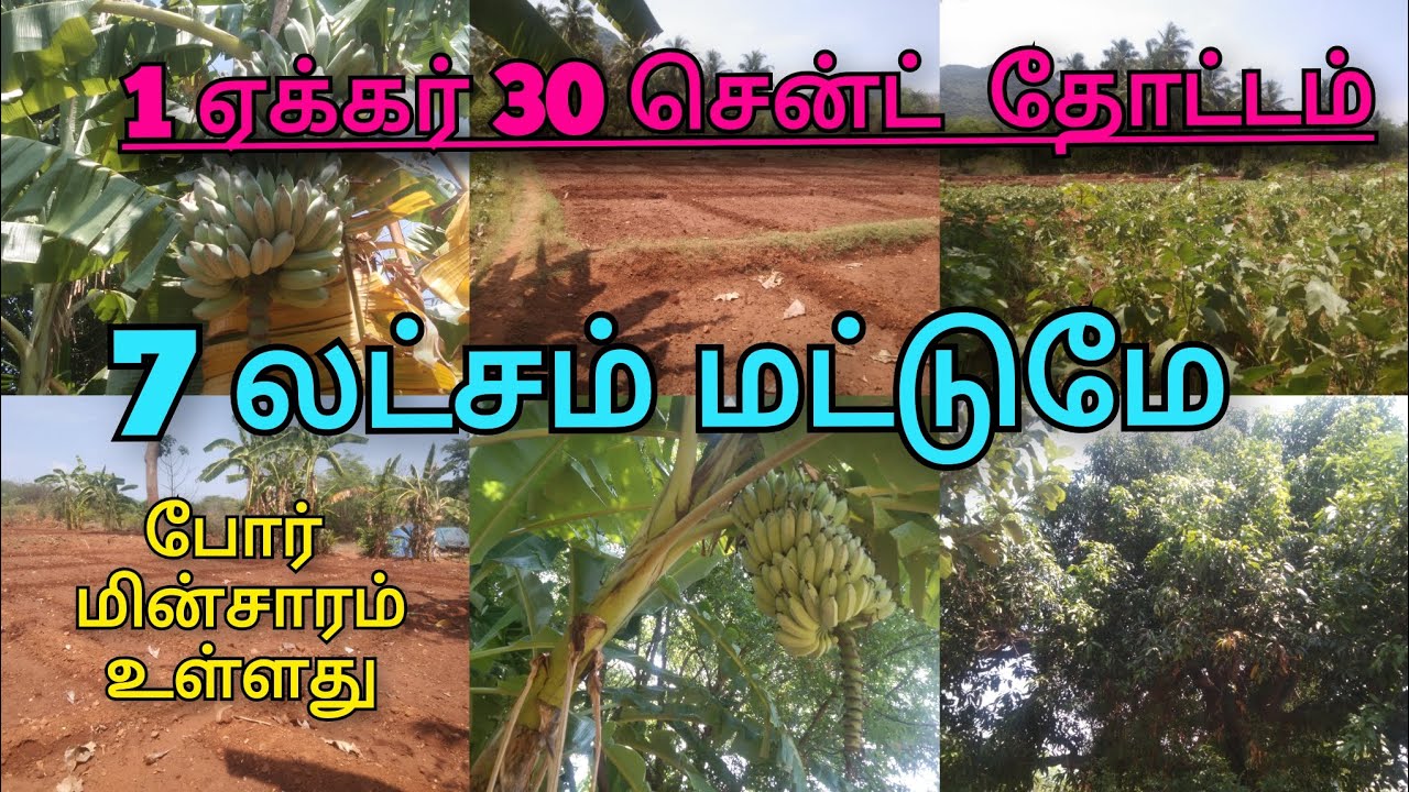 9600525601திண்டுக்கல் மாவட்டம் செங்குறிட்சி அருகில் 1 ஏக்கர் 30 சென்ட் தோட்டம் விற்பனைக்கு