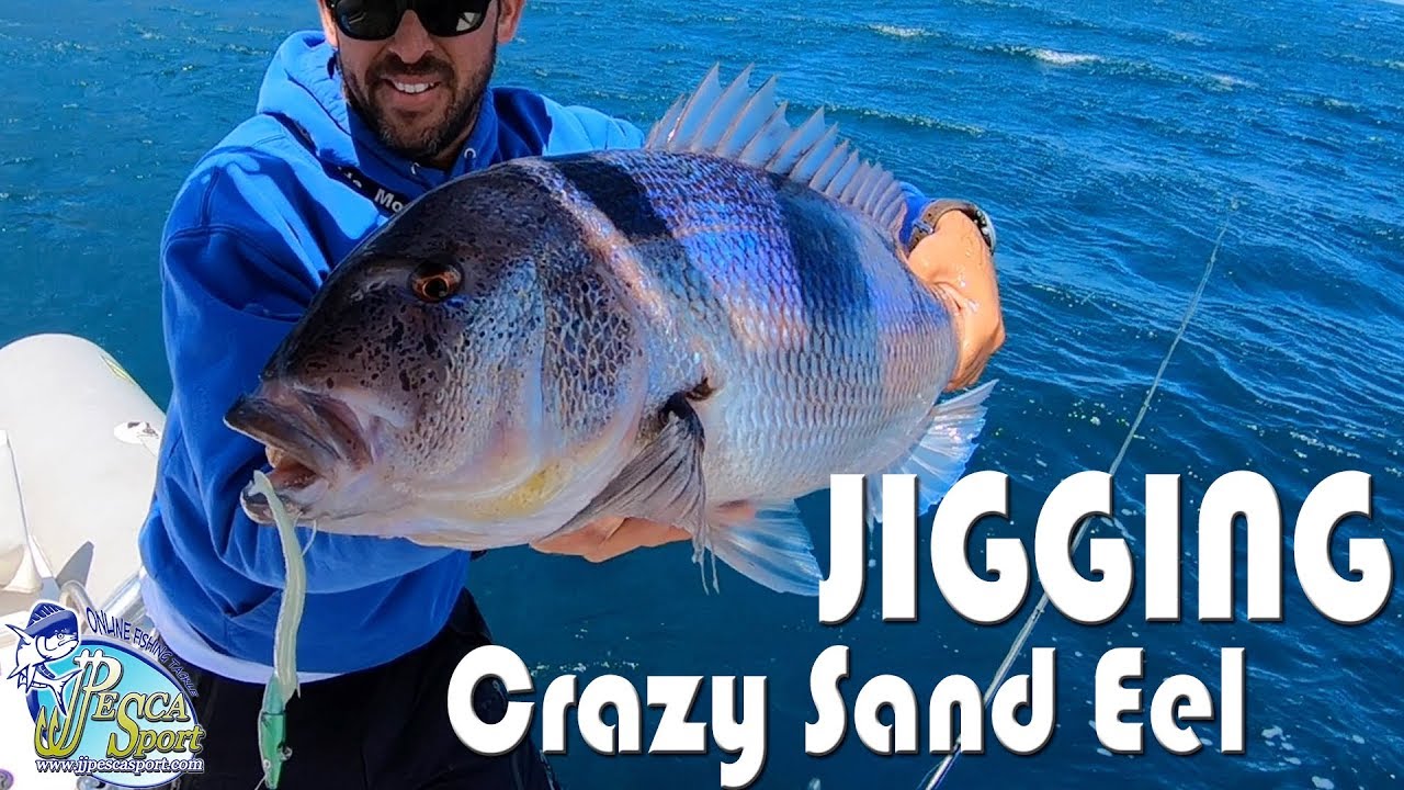 JIGGING CON EL FIIISH CRAZY SAND EEL