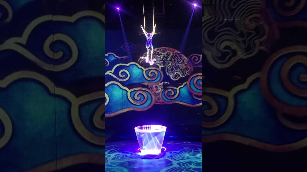 🎪 고품격 고난도 상하이 서커스