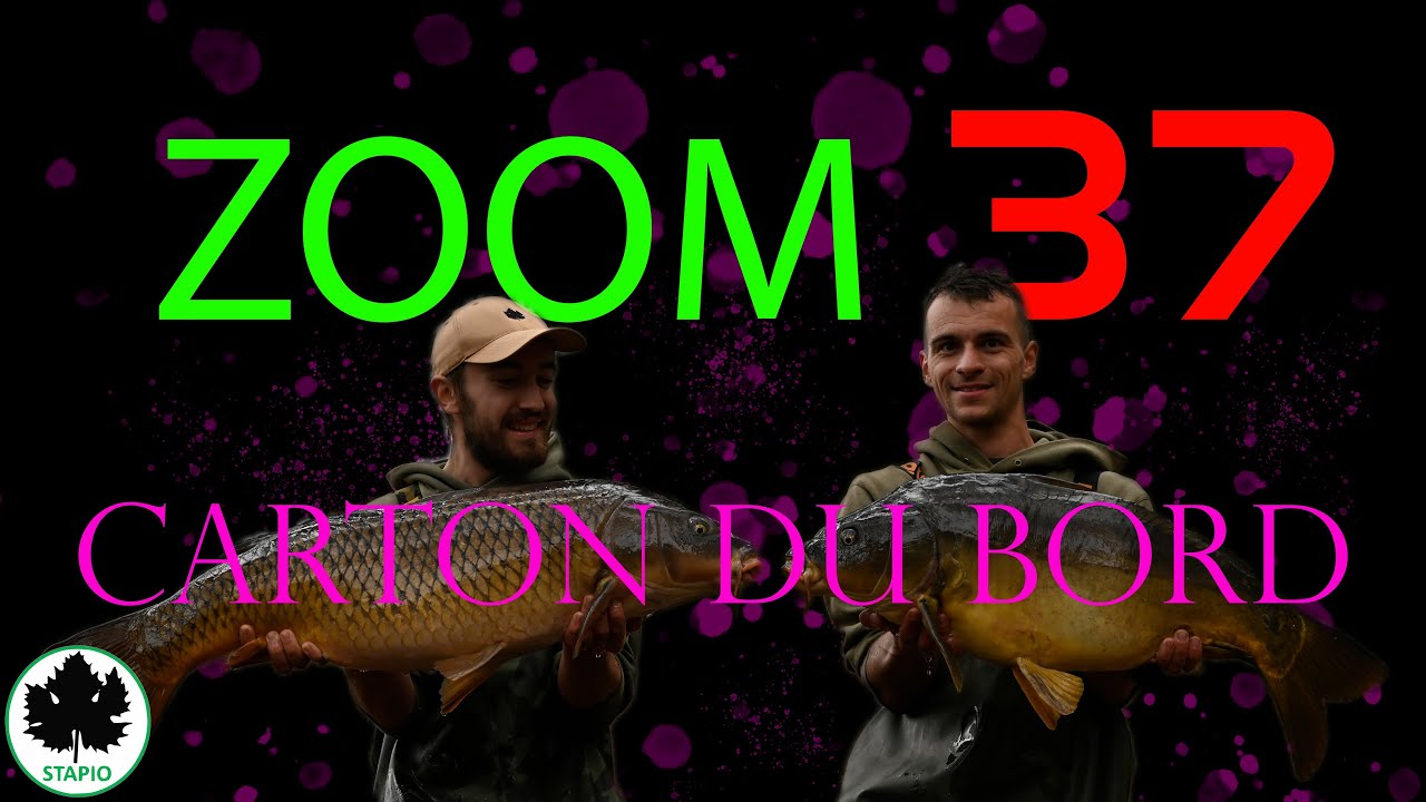 Ep 37: Carton du bord