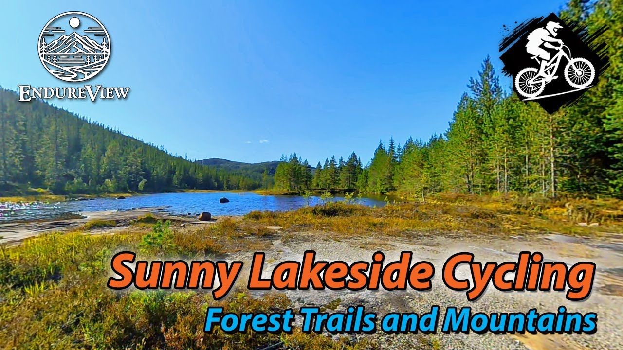 Virtual Biking | Sunny Lakeside Cycling – Forest Trails and Mountains 🚴‍♂️