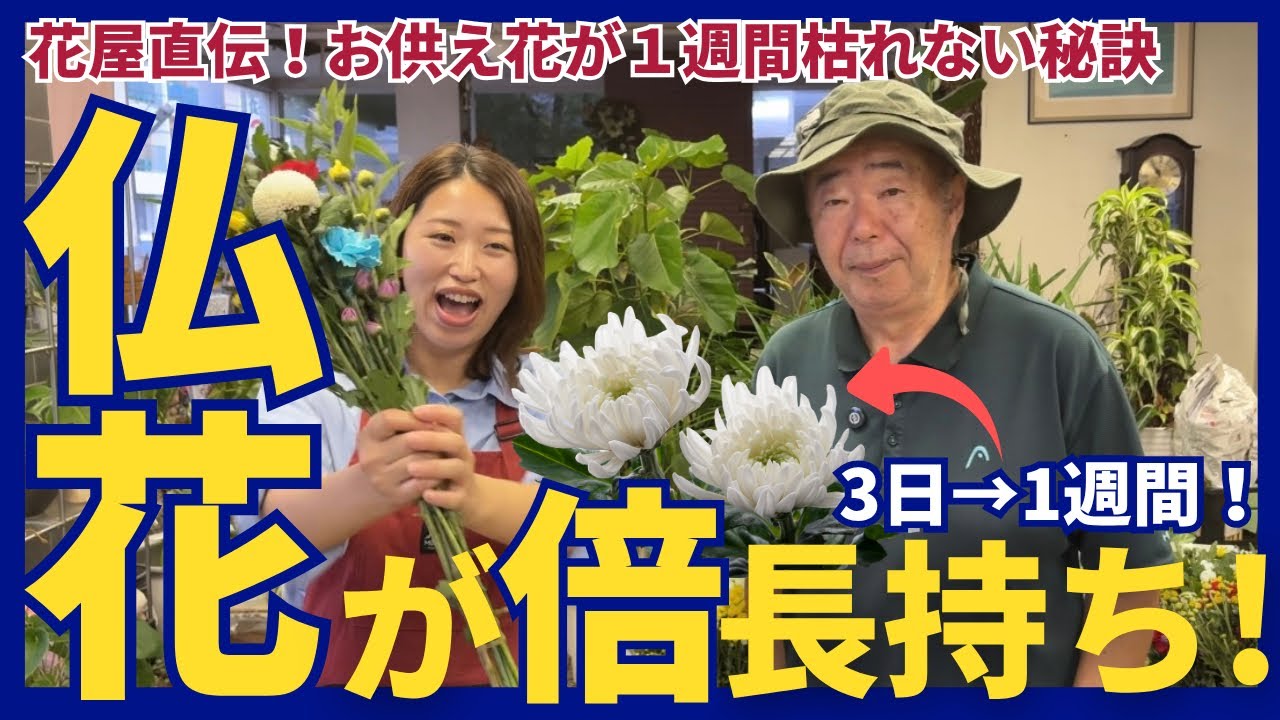 〈知らなきゃ損！〉お盆・お仏壇のお供え花【3日→1週間】倍長持ちする方法
