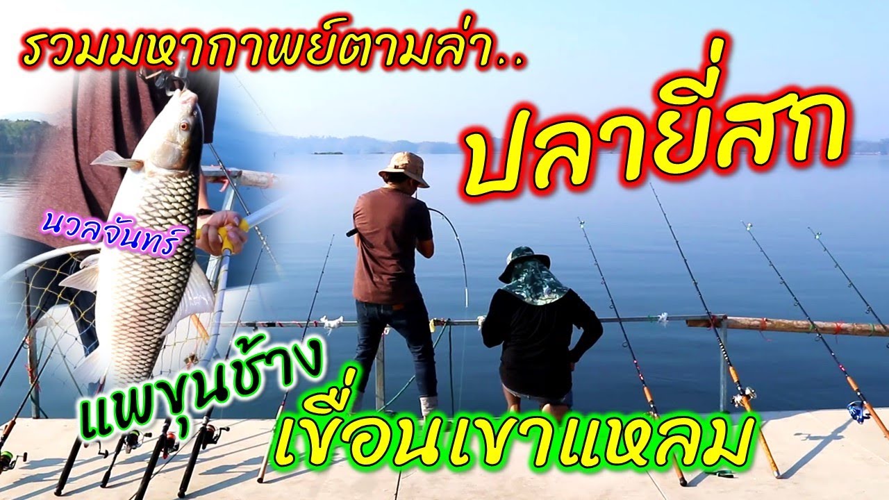 รวมมหากาพย์ตามล่าปลายี่สก เขื่อนเขาแหลม แพขุนช้าง || ตกไปเรื่อย EP.54