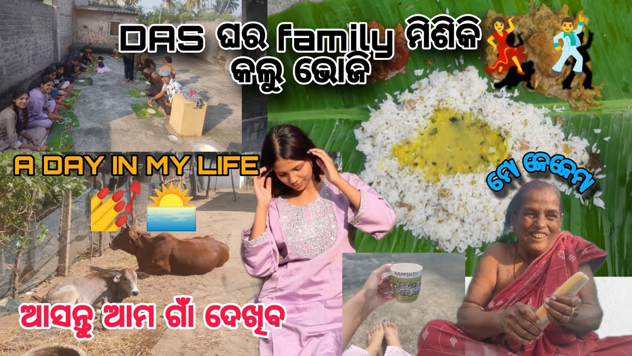 DAS ଘର family ମିଶିକି କଲୁ ଭୋଜି 🌅🙆।। ଆସନ୍ତୁ ଆମ ଗାଁ ଦେଖିବେ 🍛।। #bhubaneswar #purijagannadh #odisha 