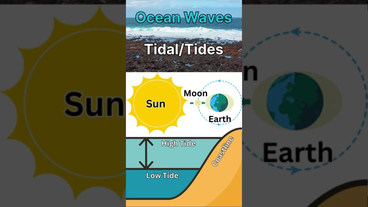 How Ocean Waves Form? #science