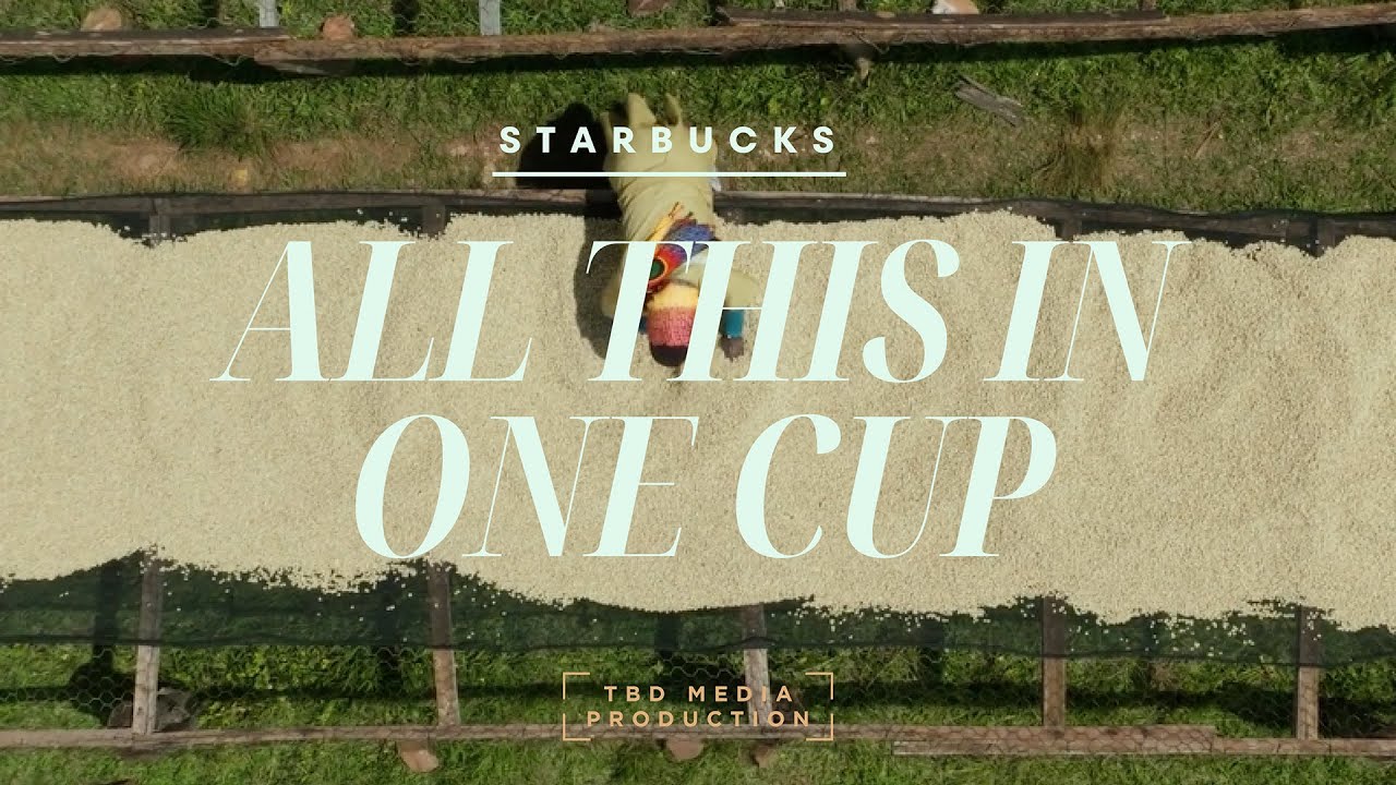 Starbucks: Brewing Innovation, Nurturing Human Connection