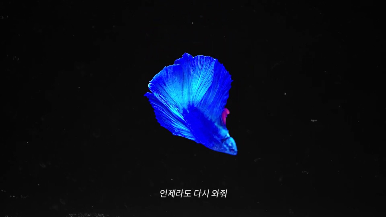 msftz(미스피츠) '나는 요즘(Latest Conversation)' Official Lyric Video